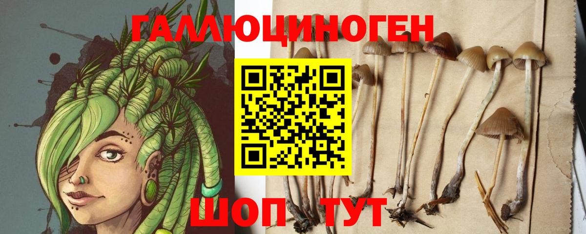 Псилоцибиновые грибы Psilocybine cubensis  Вход с VPN  Качканар 