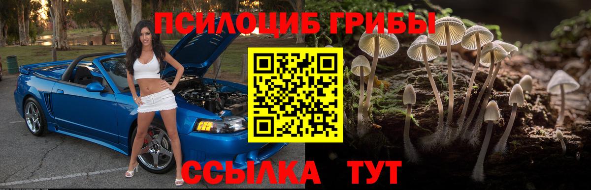 Псилоцибиновые грибы прущие грибы Качканар